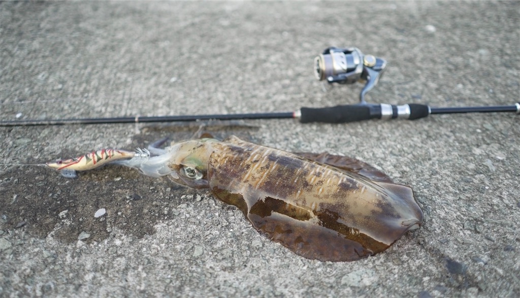 f:id:dreadnote666:20240708123700j:image