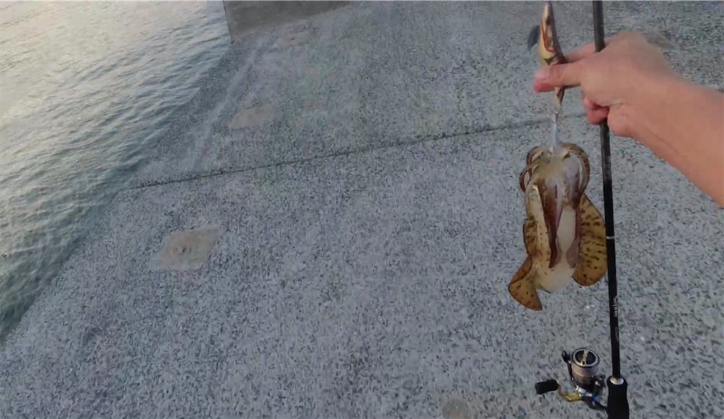 f:id:dreadnote666:20240708123714j:image