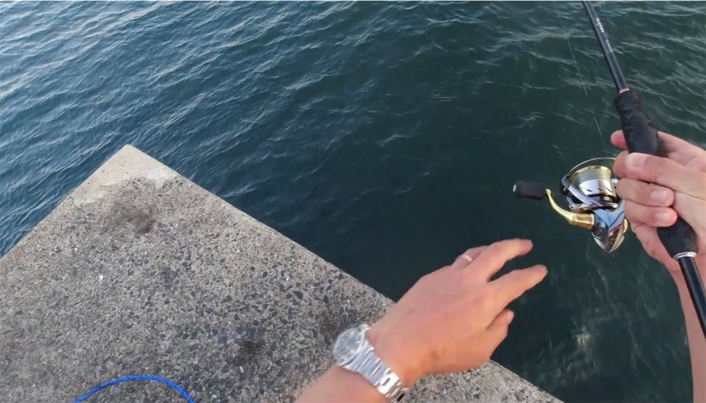 f:id:dreadnote666:20240708123716j:image