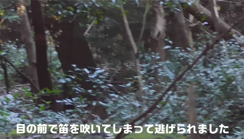 f:id:dreadnote666:20241106122128j:image
