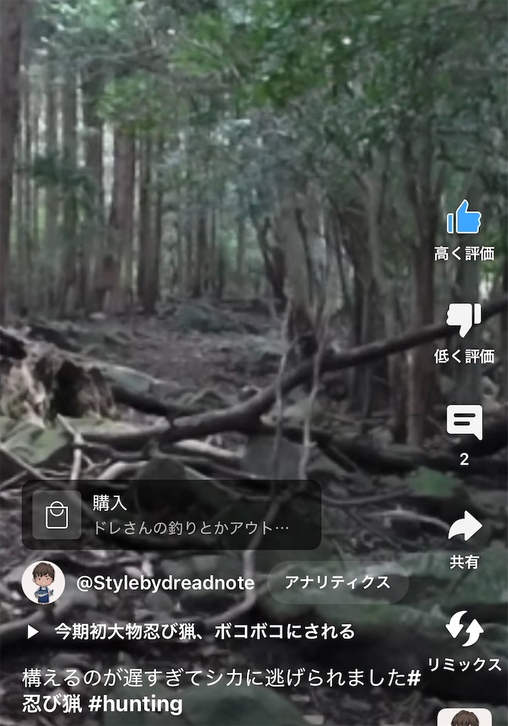 f:id:dreadnote666:20241106122151j:image