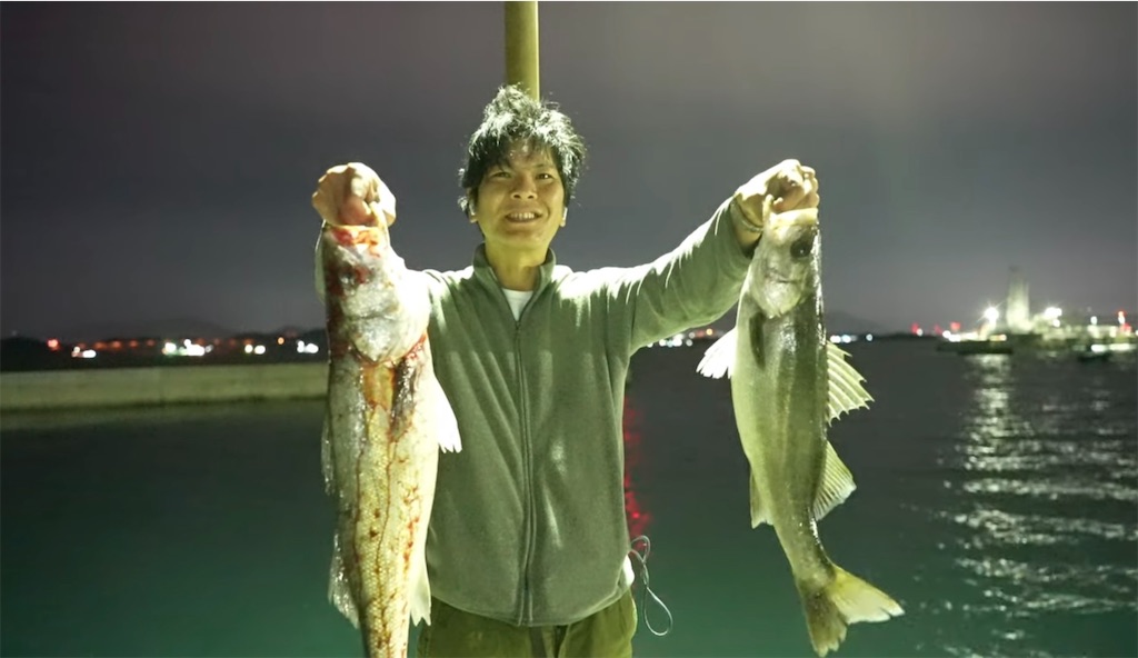 f:id:dreadnote666:20241112123733j:image