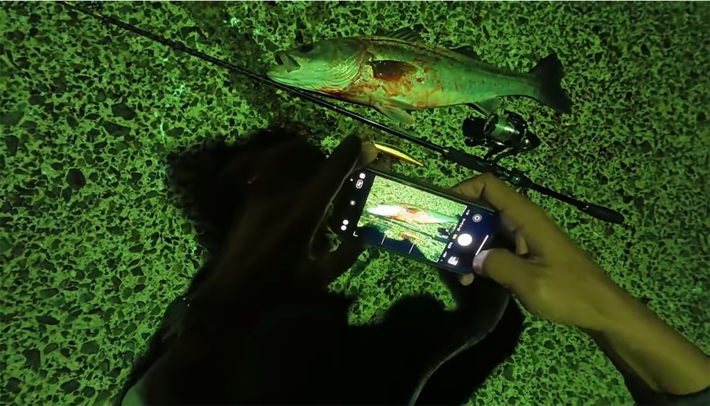 f:id:dreadnote666:20241112123741j:image