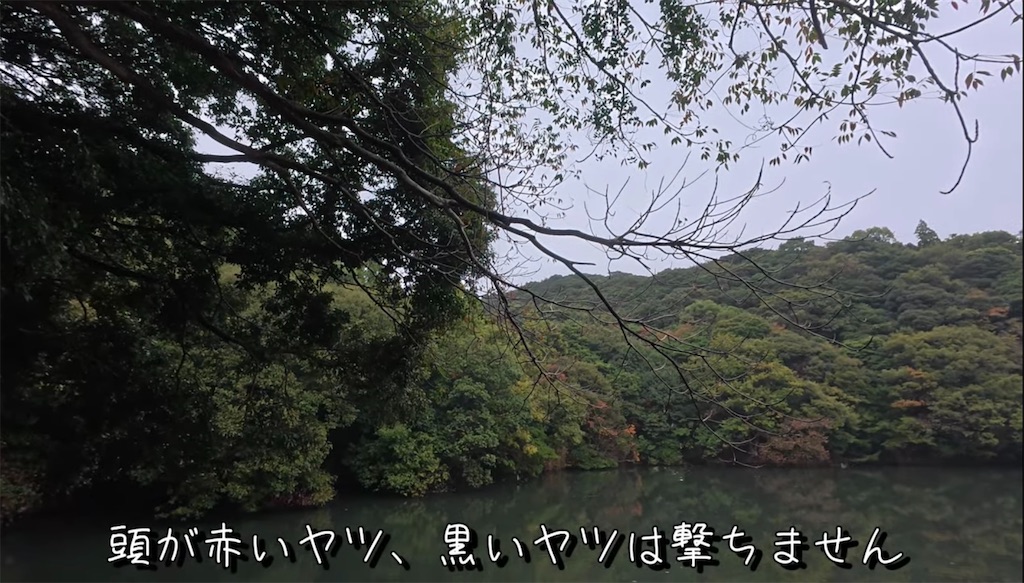 f:id:dreadnote666:20241119134717j:image f:id:dreadnote666:20241119134717j:image