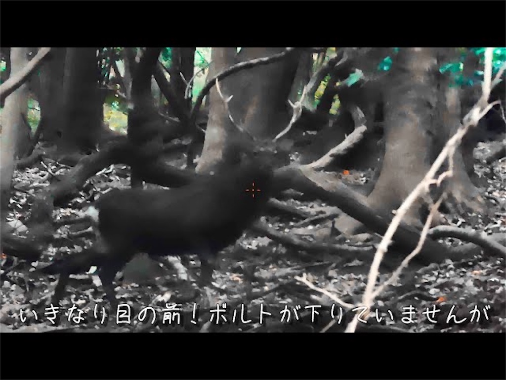 f:id:dreadnote666:20241126122631j:image f:id:dreadnote666:20241126122631j:image