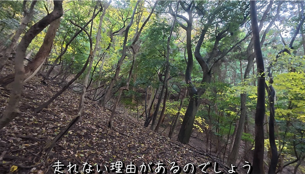 f:id:dreadnote666:20241216122322j:image