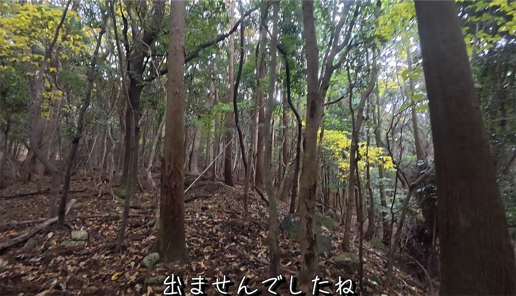 f:id:dreadnote666:20241216122338j:image