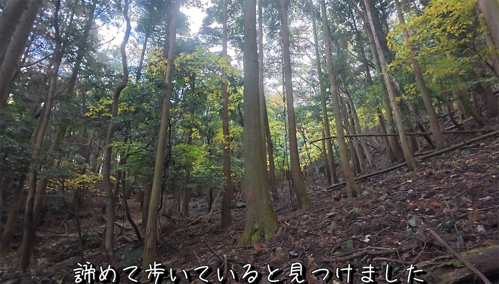 f:id:dreadnote666:20241216122405j:image