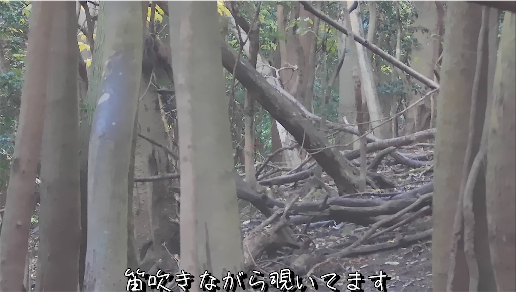 f:id:dreadnote666:20241216122409j:image