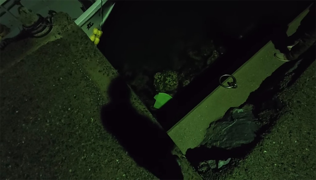 f:id:dreadnote666:20250310115948j:image