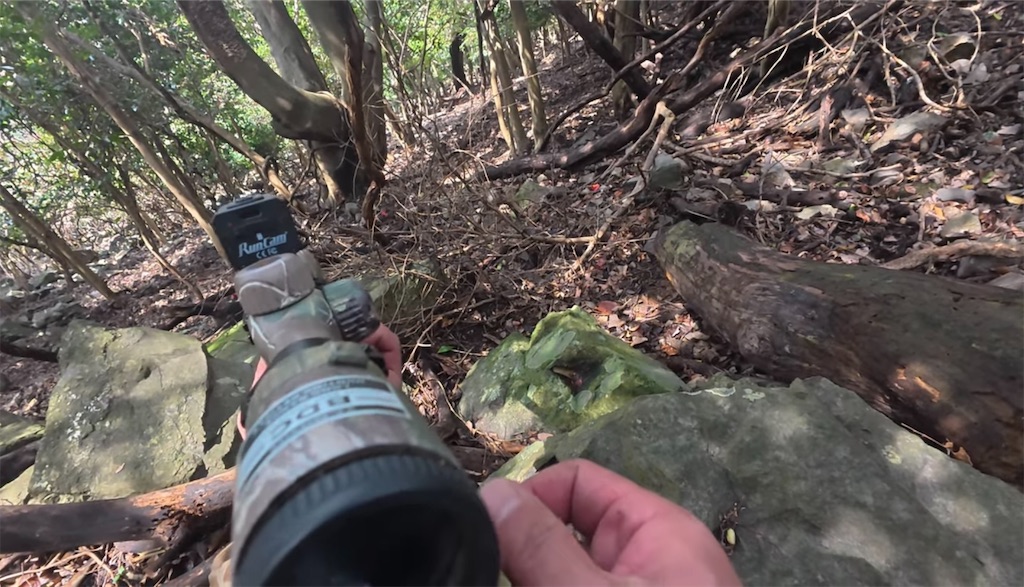 f:id:dreadnote666:20250331124002j:image