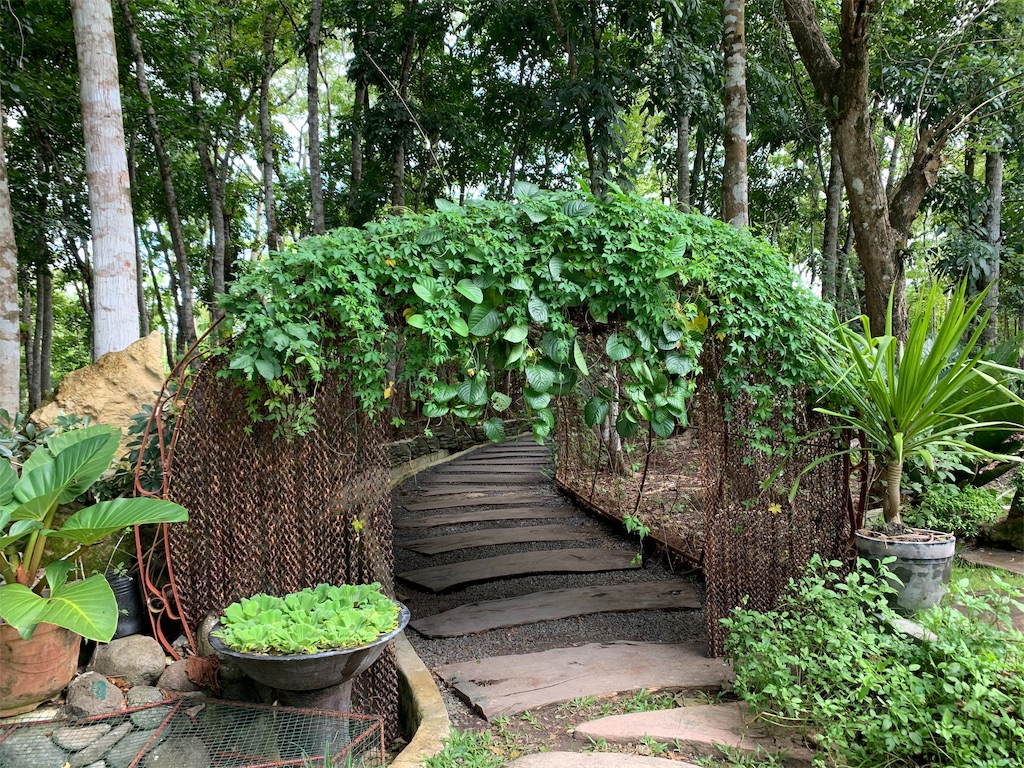 f:id:dream-go:20191126232545j:image