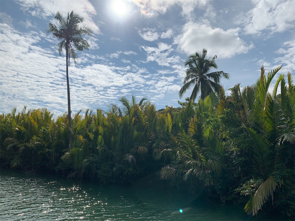 f:id:dream-go:20191206211015j:image
