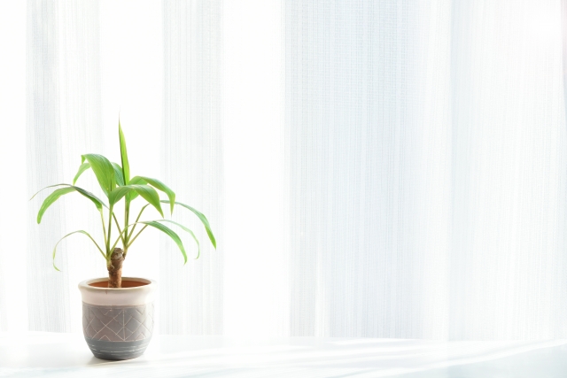 f:id:dream_maker:20210302213026j:plain