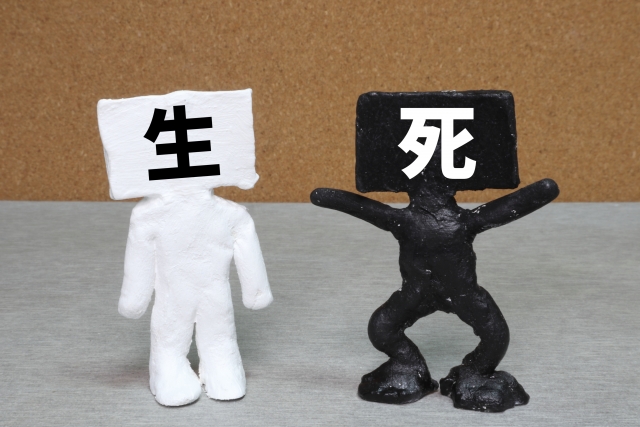 f:id:dream_maker:20210309231606j:plain