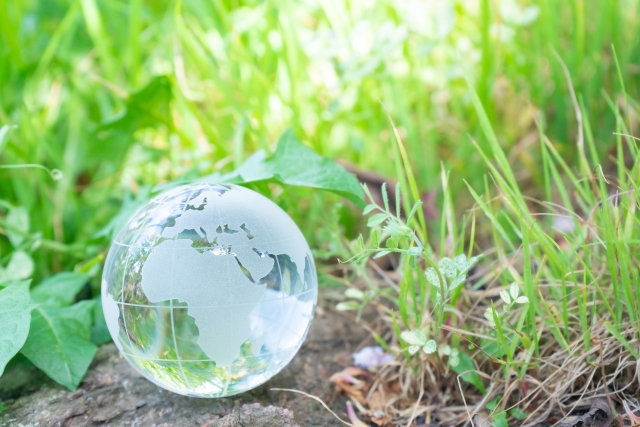 f:id:dream_maker:20210314022742j:plain