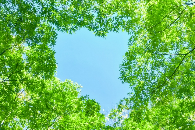 f:id:dream_maker:20210326232228j:plain