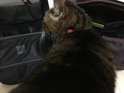 f:id:dreamfighter11:20160217192810j:plain f:id:dreamfighter11:20160217192810j:plain