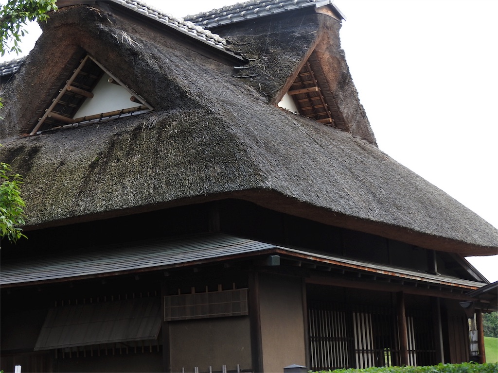 f:id:dreamfighter11:20161202224410j:image f:id:dreamfighter11:20161202224410j:image