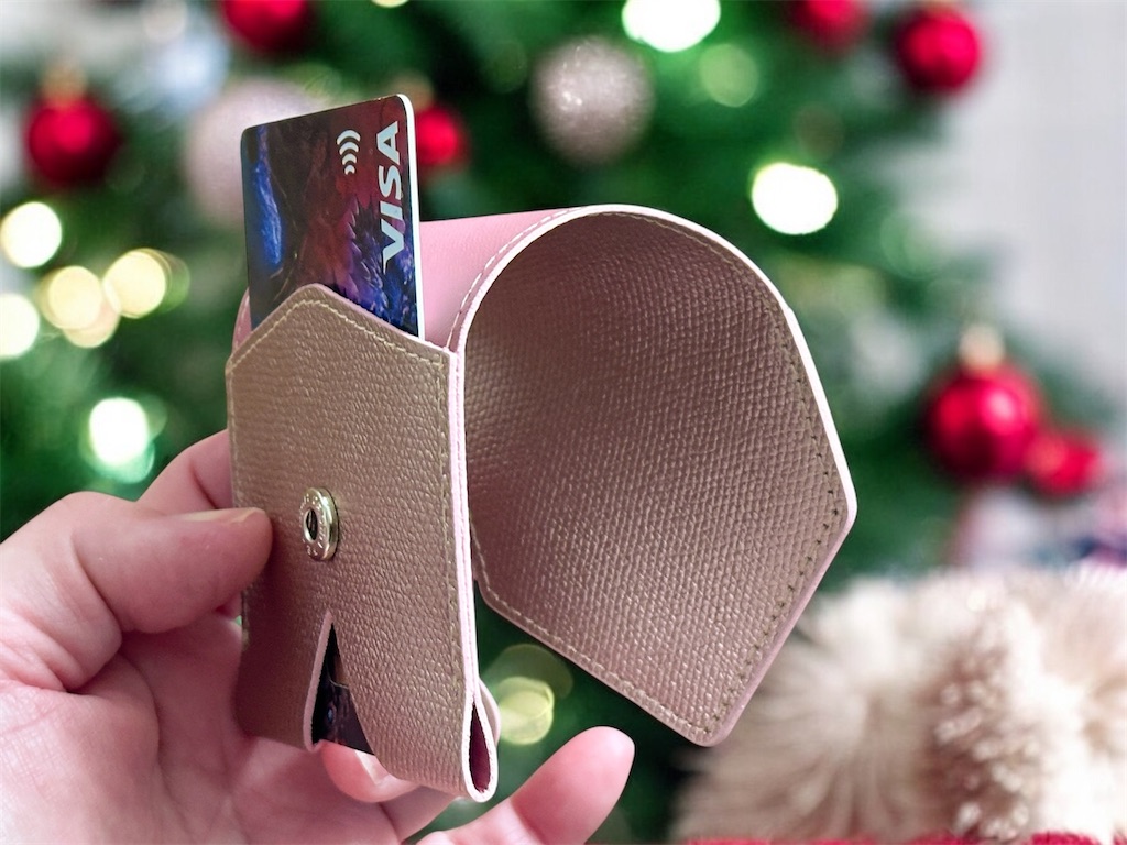 アブラサスシンプルなカードケース