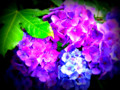 20090621162758