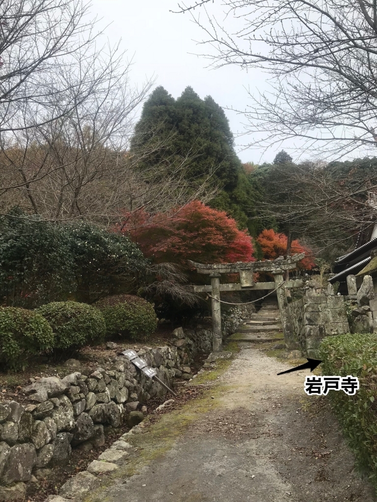 f:id:dreaming0225:20171201141914j:plain f:id:dreaming0225:20171201141914j:plain