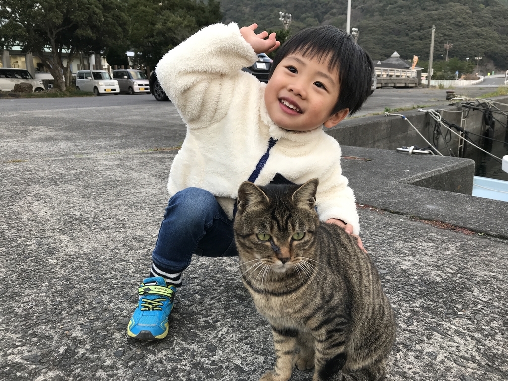 f:id:dreaming0225:20181221121925j:plain