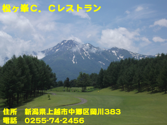https://cdn-ak.f.st-hatena.com/images/fotolife/d/dreammiminabe53/20010103/20010103154140.jpg