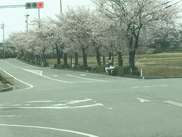 f:id:dreammiminabe53:20200413175320j:plain