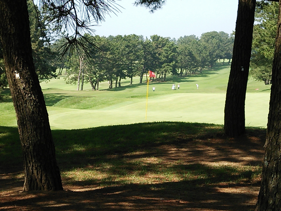 f:id:dreammiminabe53:20200711080552j:plain