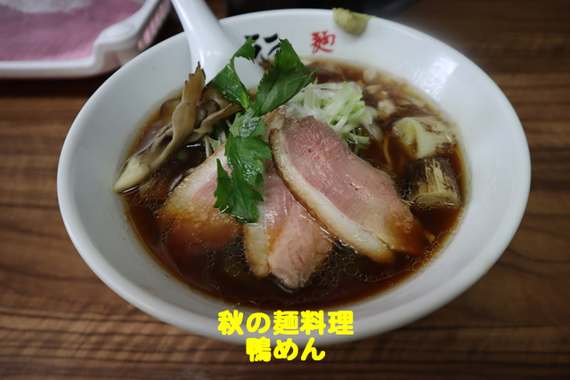 f:id:dreammiminabe53:20201007134035j:plain