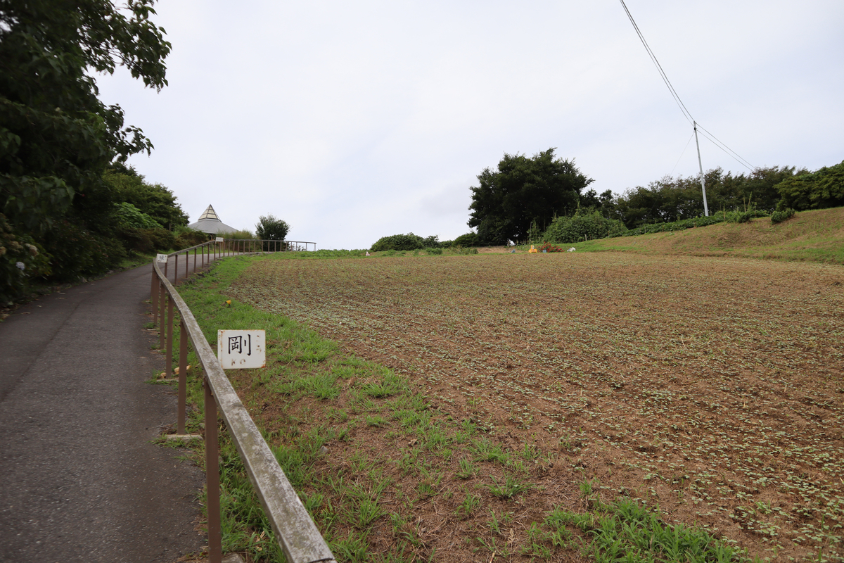 f:id:dreammiminabe53:20210818170708j:plain