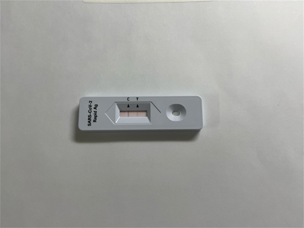 f:id:dreammiminabe53:20230724151234p:image