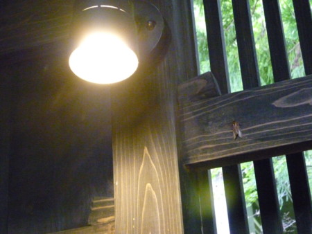 f:id:dreamsburndown:20130803165646j:image