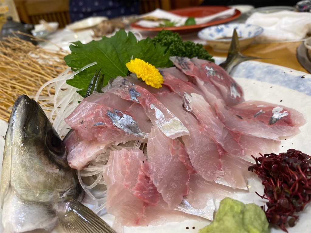 f:id:dreamscantrue:20240619003635j:image