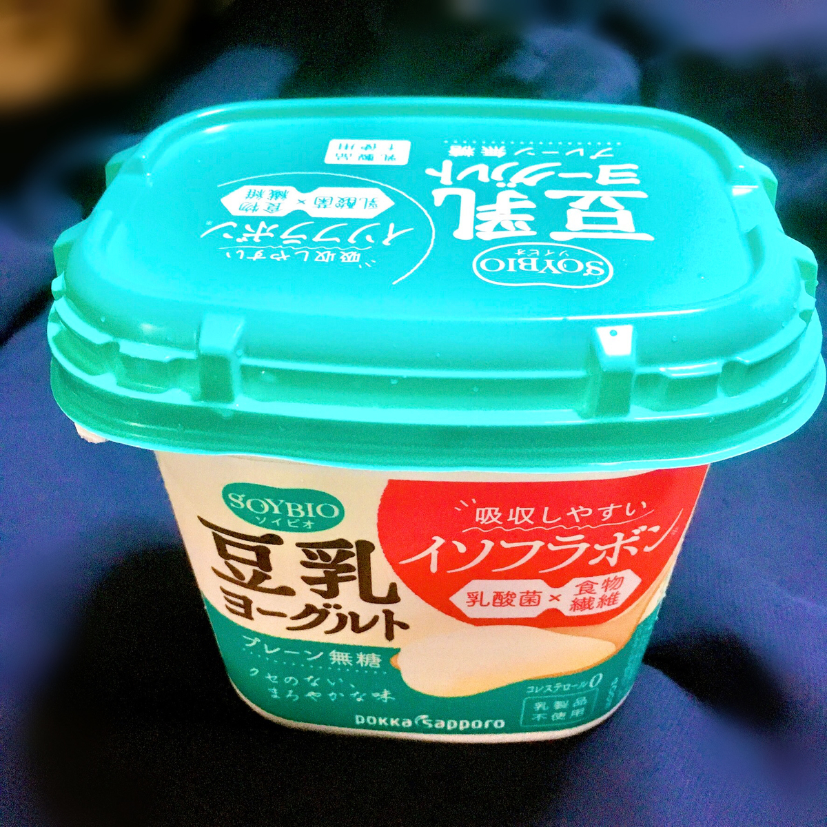 ソイビオプレーンの写真