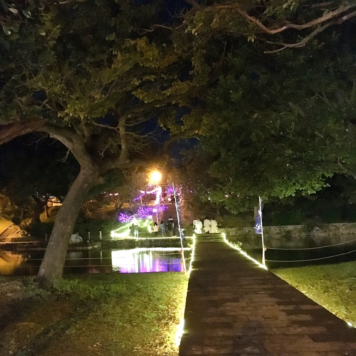 奥武山公園元旦風景