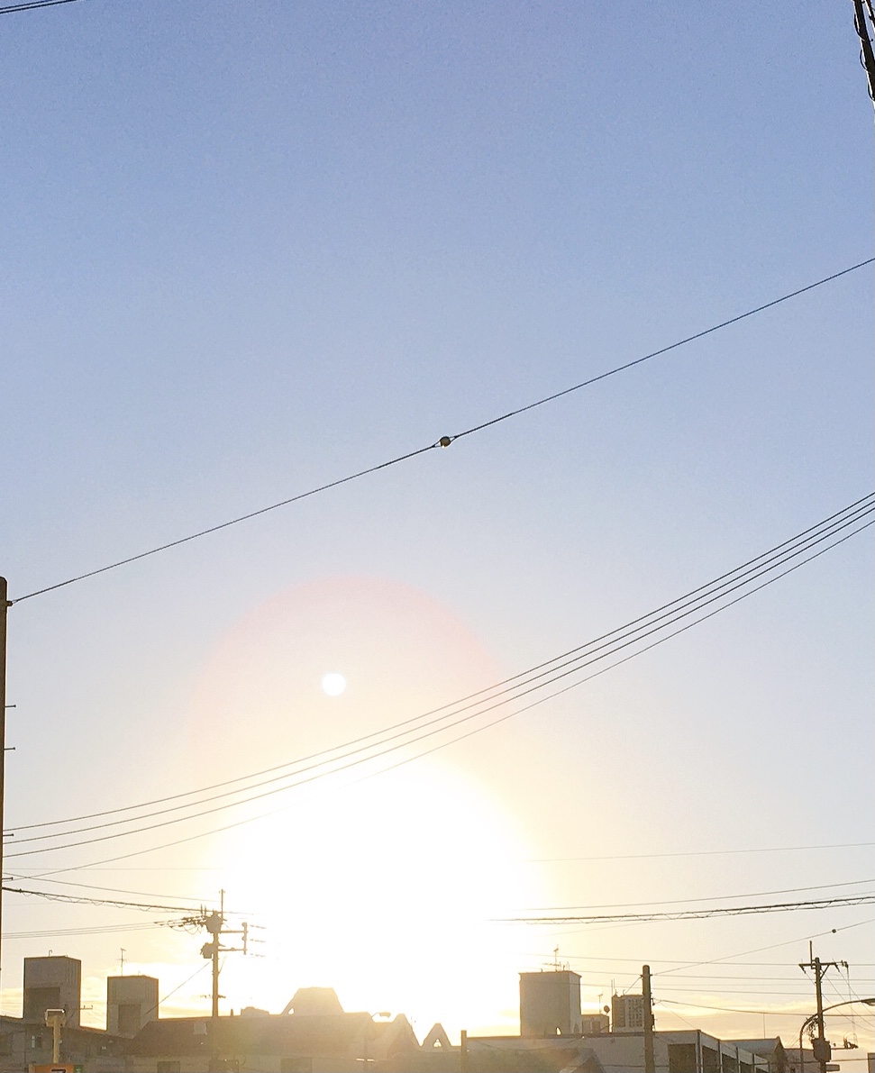 お正月の朝日