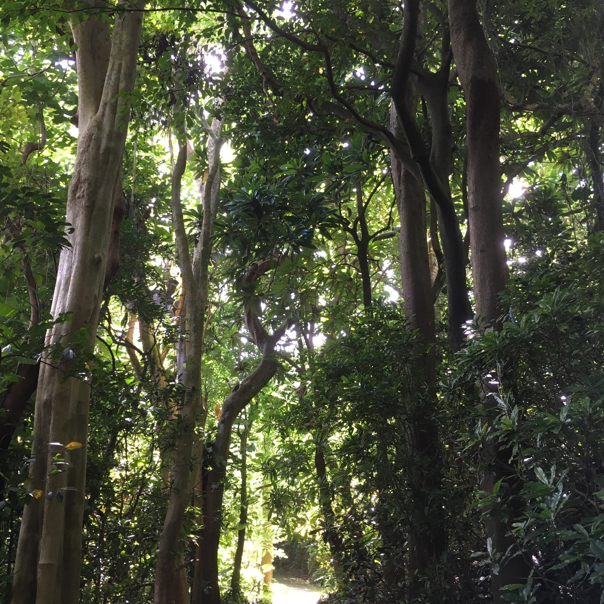 末吉公園