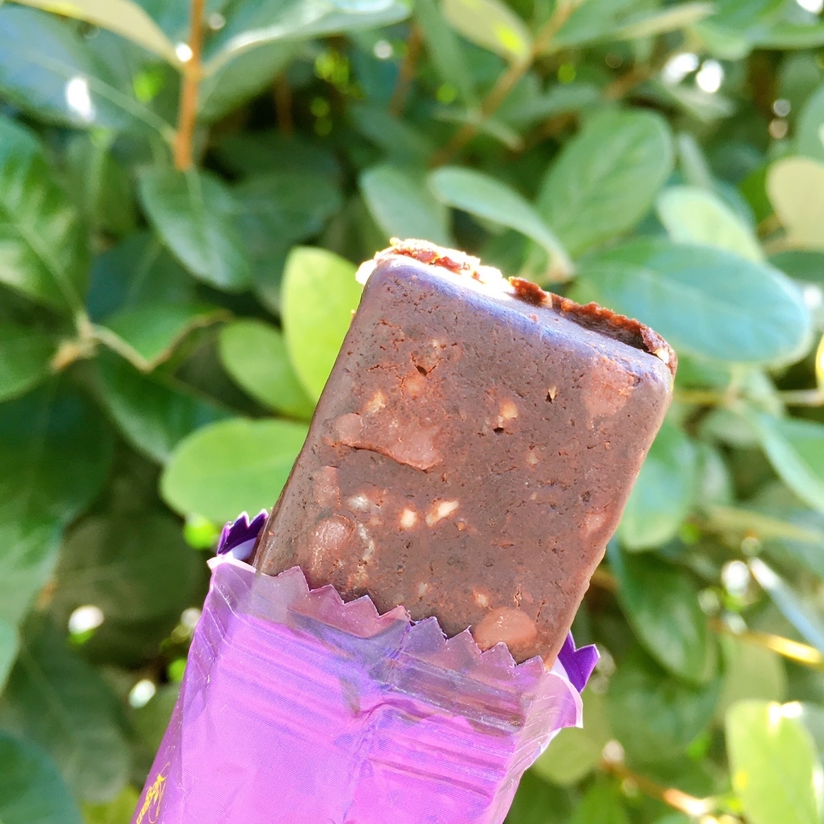 Lubs オーガニックフルーツバー(チョコレートブラウニー)