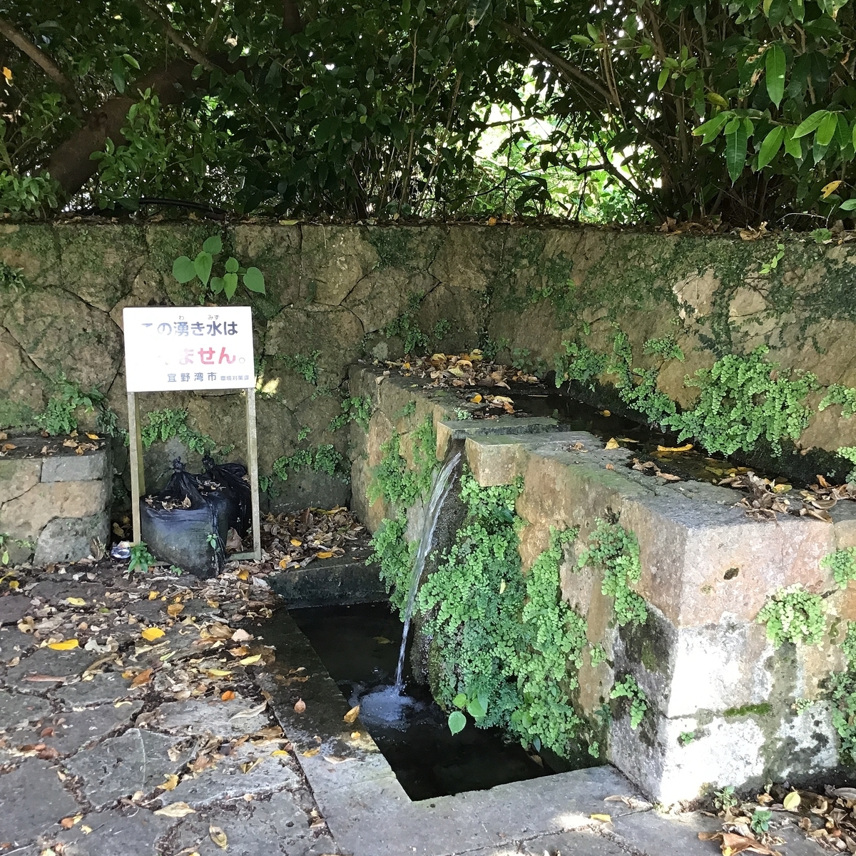 喜友名泉(ちゅんなーがー)の写真