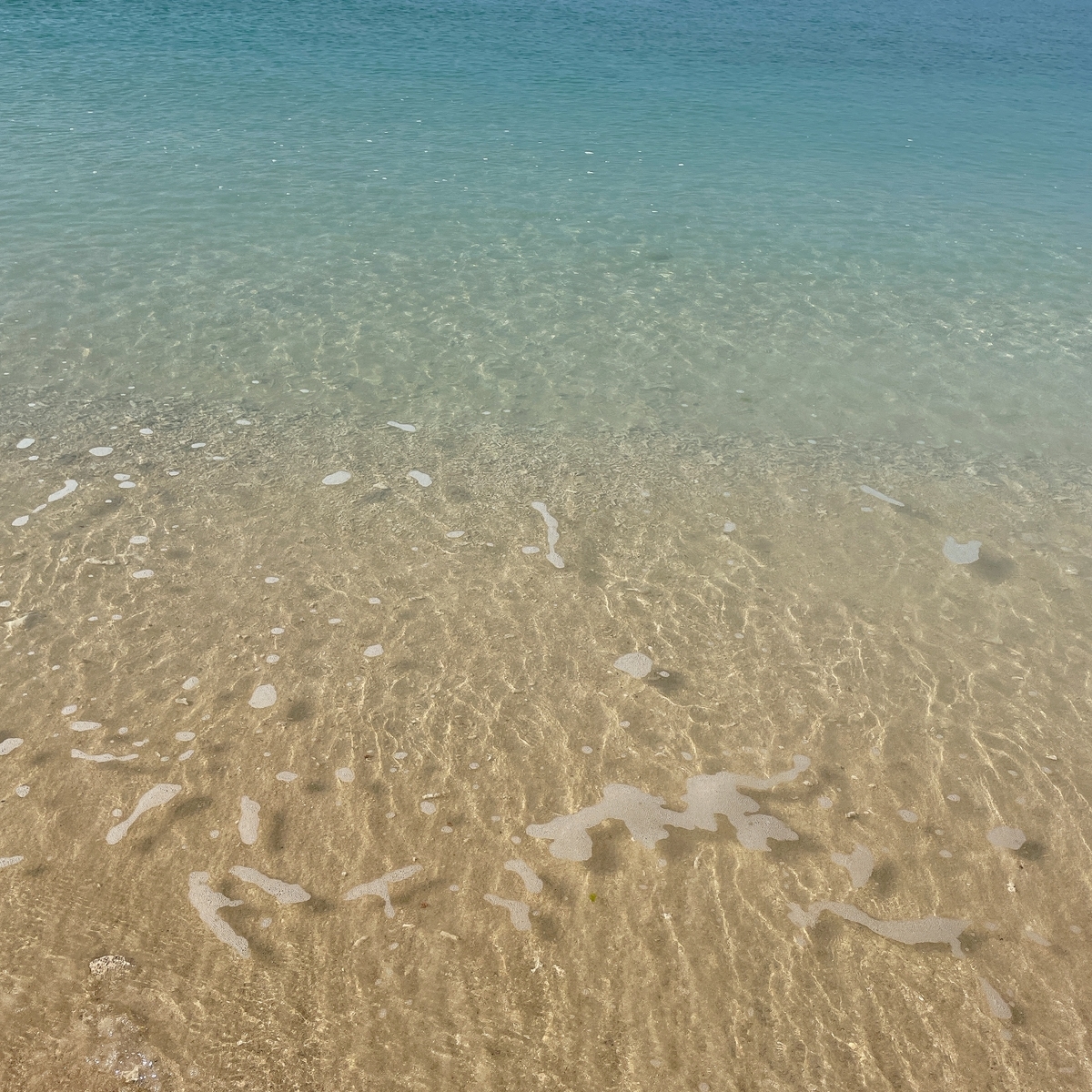 海