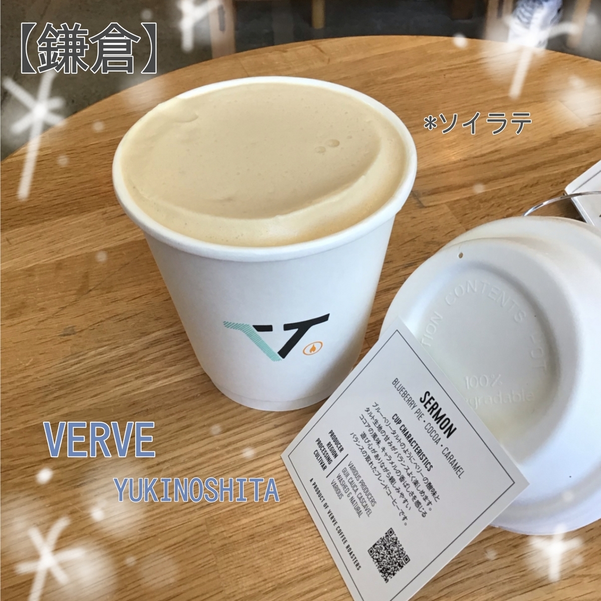 VERVE 雪の下