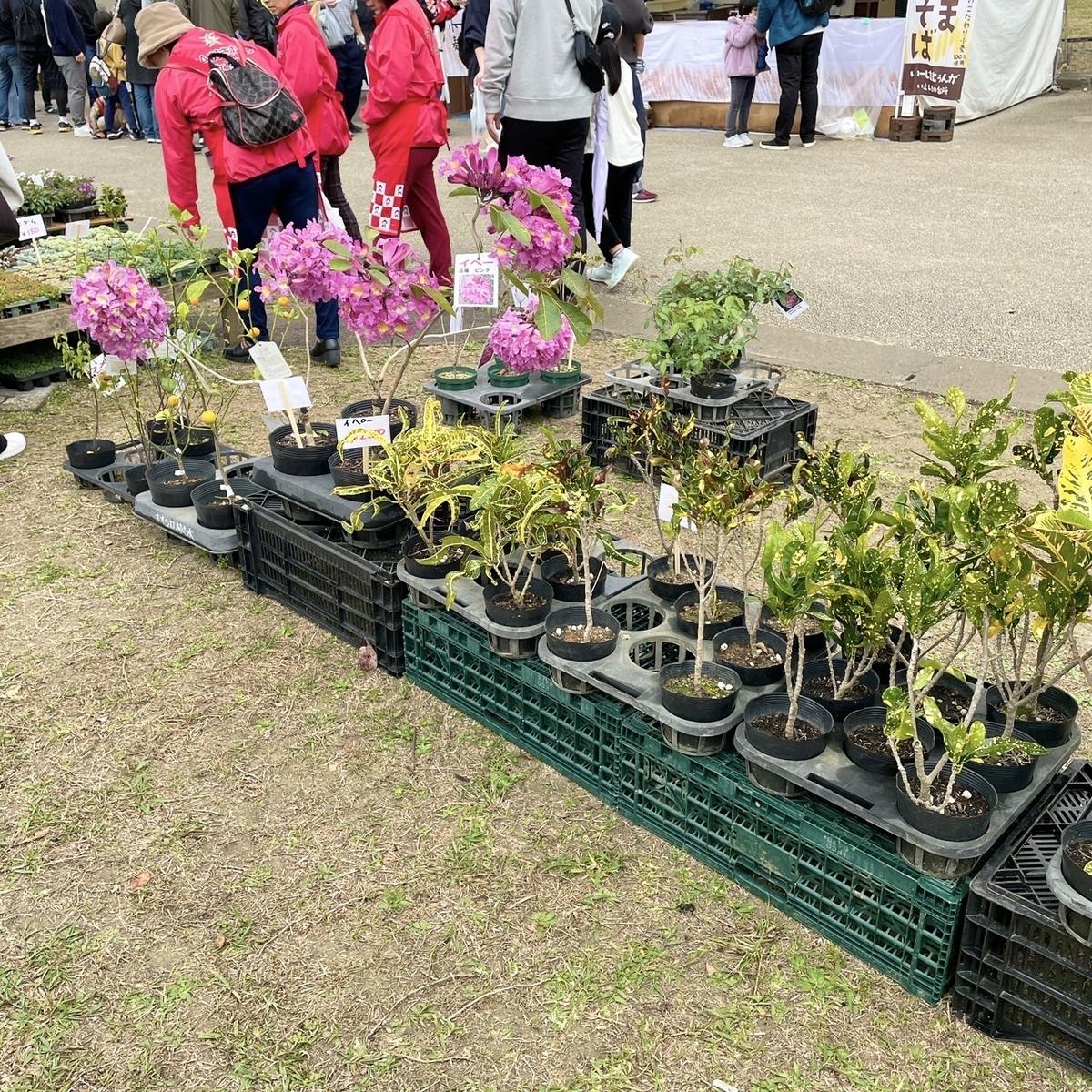 花と食のフェスティバル