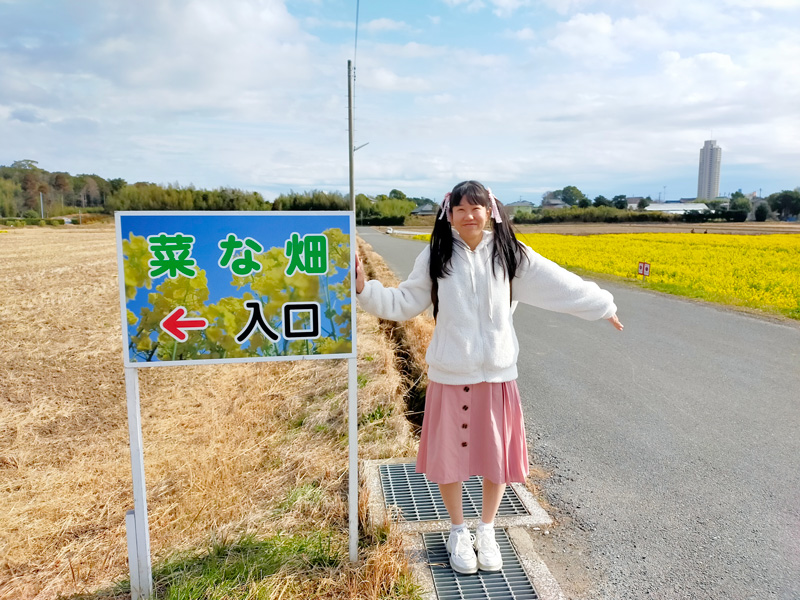 鴨川市の菜の花畑の看板となな(菜な畑入口)