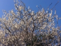 20150226180851