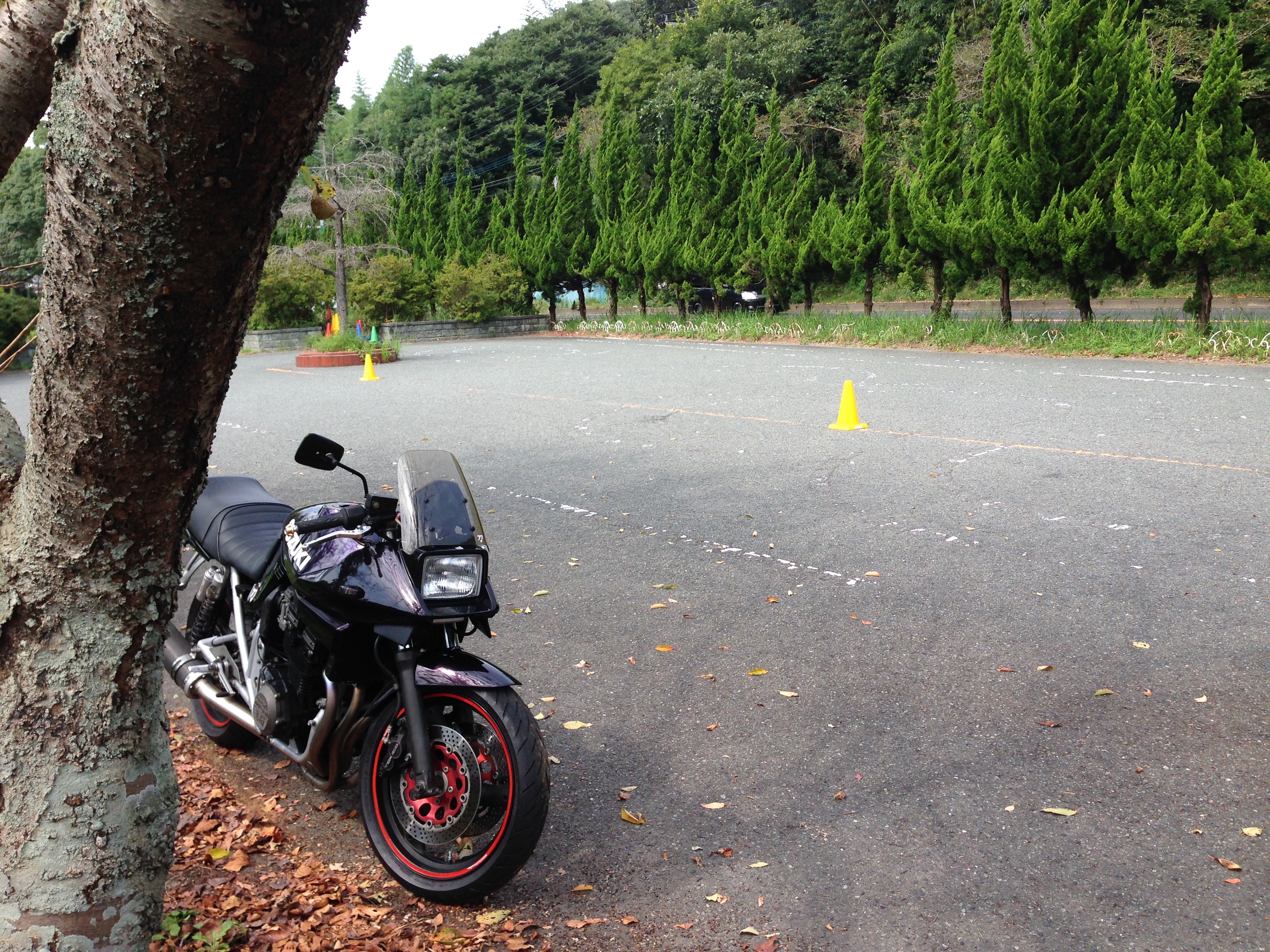 f:id:dreamytec:20210506222644j:image
