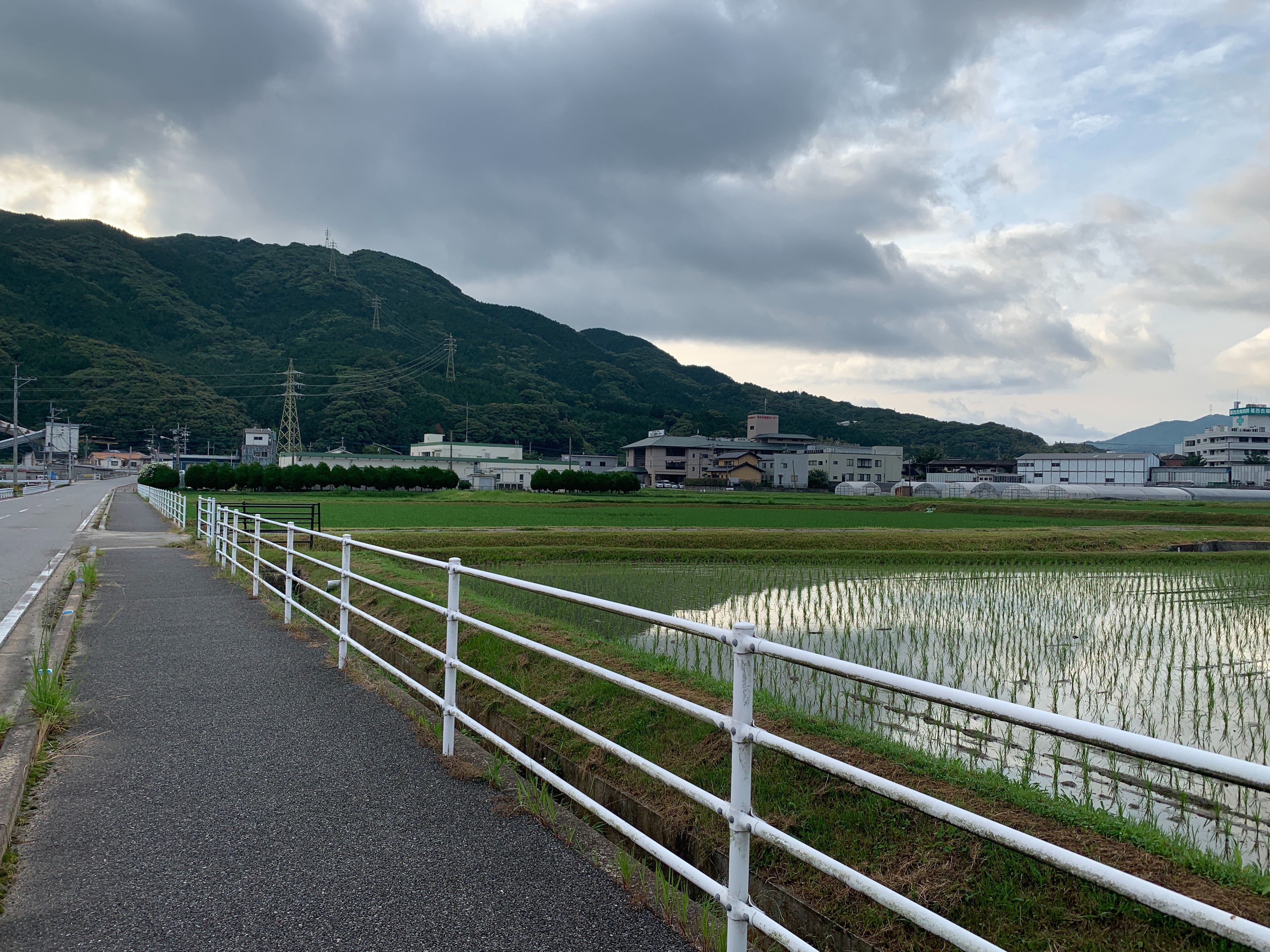 f:id:dreamytec:20210613224623j:image