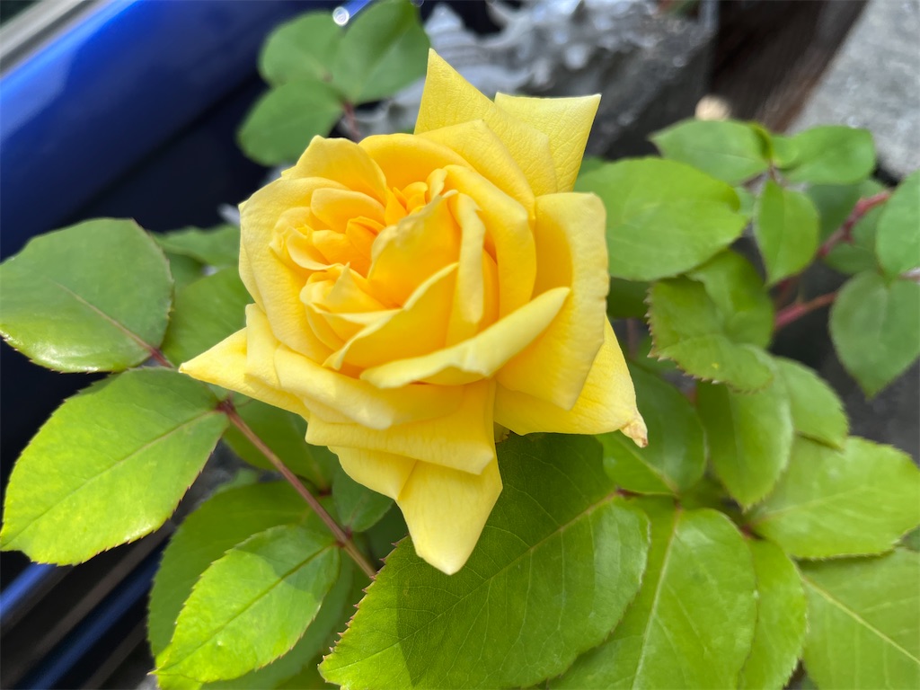 f:id:dreamytec:20220430000328j:image