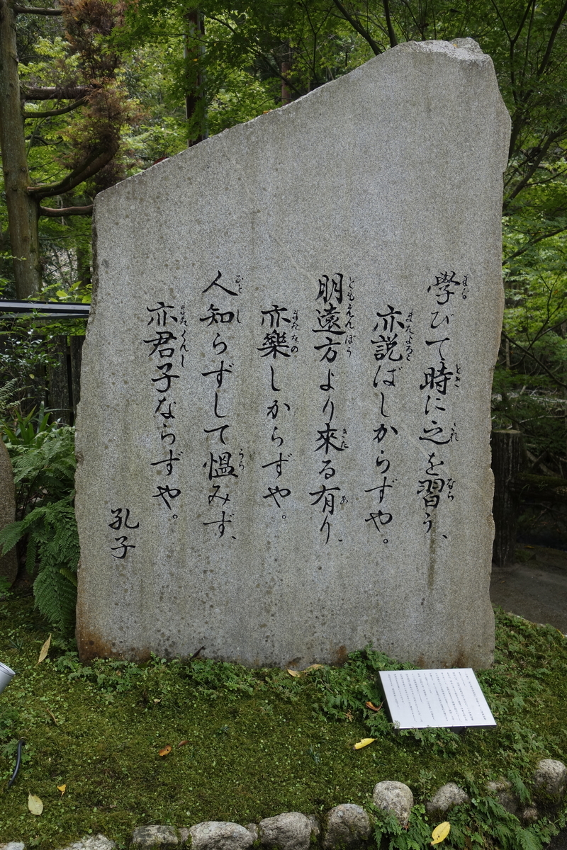 f:id:drfridge:20201005140833j:plain